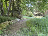 Bild8 - 