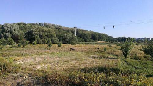 Kienberg / Seilbahn - 