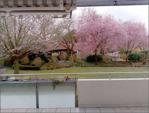 IMG_20250330_154500.jpg - 1 Zimmer Etagenwohnung zur Miete in Bad Sassendorf