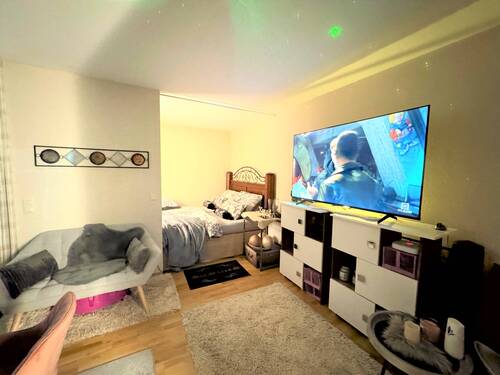 Wohnraum mit Schlafnische - 1 Zimmer Etagenwohnung zum Kaufen in Fürth