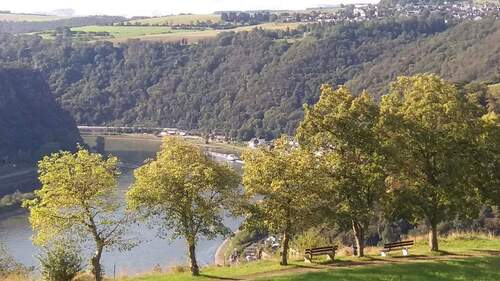 Bild 2 - 2 Zimmer Etagenwohnung zum Kaufen in Patersberg