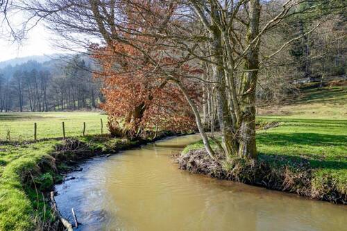 Idyllische Bachlage - Hotel, Pension, Gasthof in Wald-Michelbach / Unter-Schönmattenwag zum Kaufen
