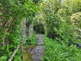 Gartenimpressionen - 