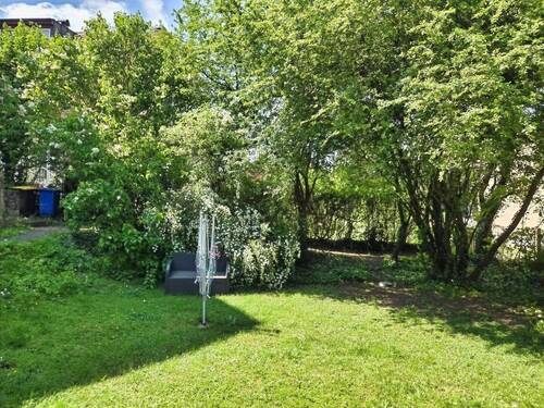Gartenimpressionen - 