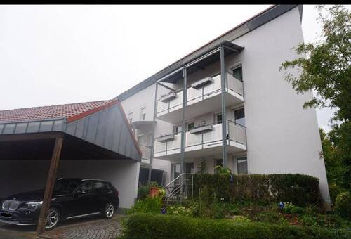 IMG-20250917-WA0009.jpg - 