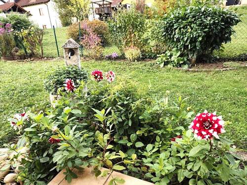 Blick in den Garten.jpeg - Großzügige 4 Zimmer Wohnung mit Gartenidylle und Sonnenterrasse