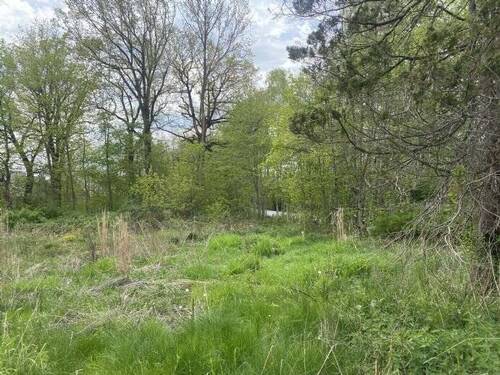 Bild 2 - Grundstück in Chemnitz