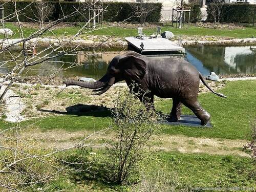 Gartenblick 1 - 3 Zimmer Etagenwohnung in Bad Aibling