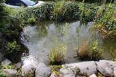 Gartenteich bei der Terrasse - 