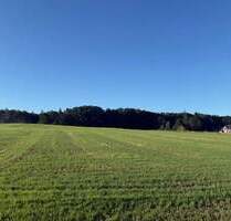 Neues Baugebiet in Bispingen, zentrale Lage