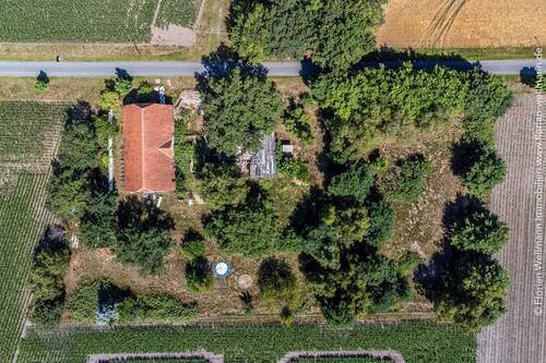 Bild 3 - Grundstück in Bahrenborstel