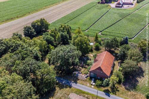 Bild 4 - Grundstück in Bahrenborstel zum Kaufen