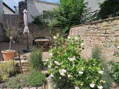 Sommerimpression 2025 Freisitz - 