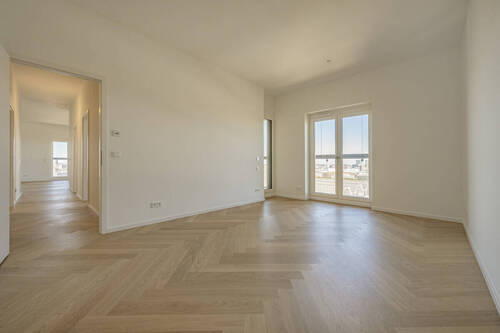 Zimmer - 