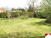 Wiese.jpg - 