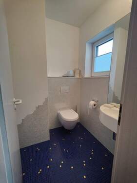 WC Erdgeschoss - 9 Zimmer Einfamilienhaus in Ahorn
