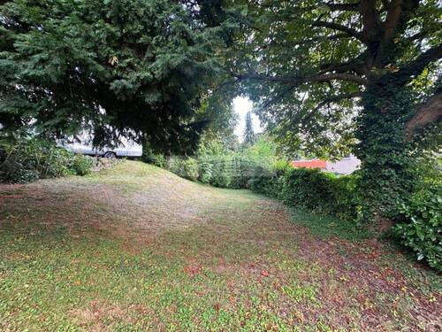 Garten zur gemeinschaftlichen Nutzung - 