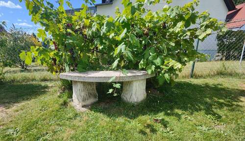 Detail Garten - 