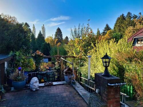 Blick in den Garten - 