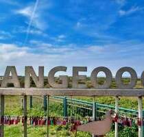 Wohneigentum auf der Nordseeinsel Langeoog - Ihre persönliche Insel-Auszeit