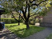 Garten (2).JPG - 