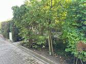Blick vom Zugangsweg - 