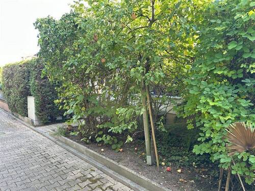 Blick vom Zugangsweg - 