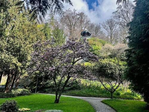 ein schöner Weg in die Stadt... - 
