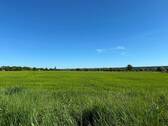 Fensterblick - 