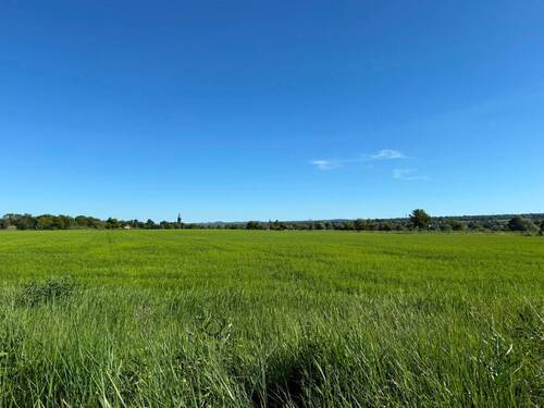 Fensterblick - 