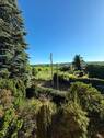 Fensterblick - 