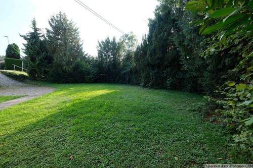 Blick Südwest, Grundstück mit Zufahrt, Garten und Wald - 