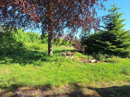 Gartenansicht - 5 Zimmer Einfamilienhaus zum Kaufen in Tolk