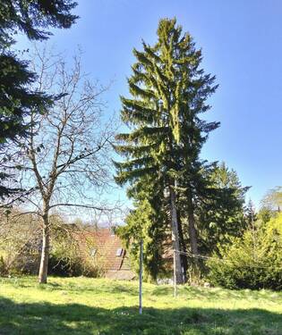 Teilansicht Grundstück - 