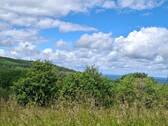 Unmittelbare Umgebung - Dalherda (Gersfeld) in landschaftlich traumhafter Lage ! (Ferien-)Häuschen mit größerem Grundstück im Dornröschenschlaf :)