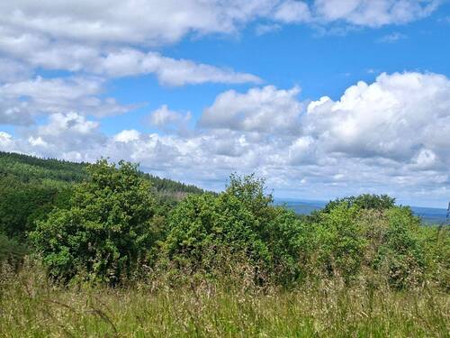 Unmittelbare Umgebung - Dalherda (Gersfeld) in landschaftlich traumhafter Lage ! (Ferien-)Häuschen mit größerem Grundstück im Dornröschenschlaf :)