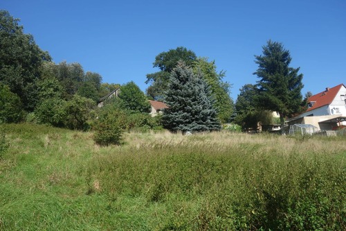 Grundstück - Grundstück zum Kaufen in Eckartsberg