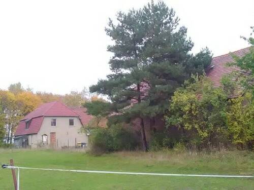 Bild 2 - Grundstück zum Kaufen in Luckau