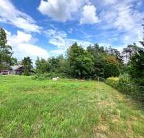 Idyllische Lage: Großes Grundstück mit Altbestand - Nittenau