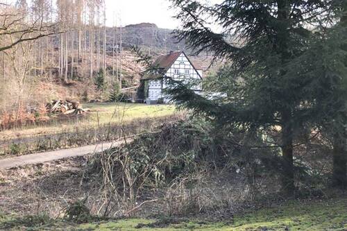 Naturnahe Lage - Grundstück zum Kaufen in Möhnesee