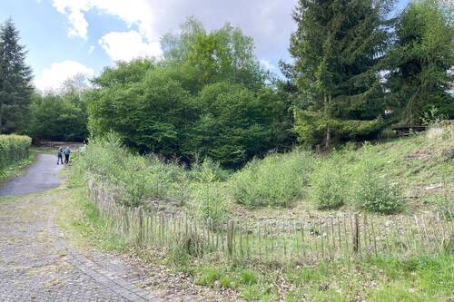 Natur pur - Grundstück in Möhnesee zum Kaufen