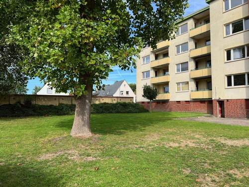 Garten_Rückansicht - 