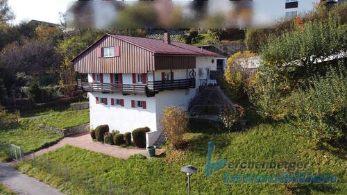 Drohnenansicht 4 - Natur pur! Wohnhaus mit Einliegerwohnung in toller Naturlage in Regen