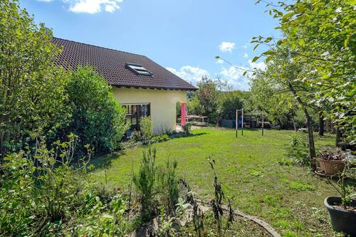 Eingewachsener Garten - 