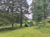 Der naturbelassene Garten - 