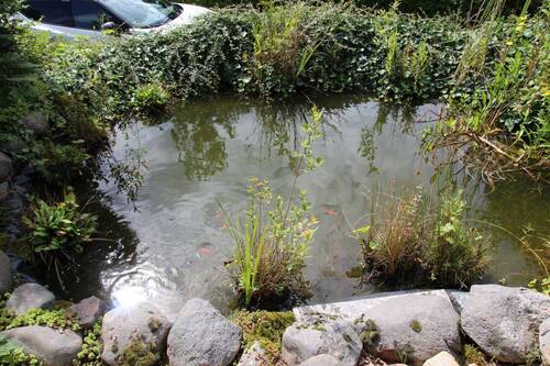 Gartenteich bei der Terrasse - 