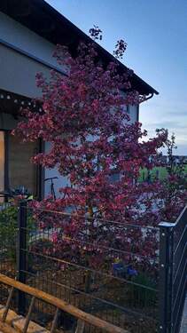 Eingangsbereich - Freistehendes Einfamilienhaus Ortsrandlage