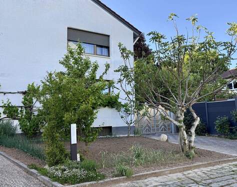 Außenansicht Vorgarten - 9 Zimmer Mehrfamilienhaus, Wohnhaus zum Kaufen in Nieder-Olm