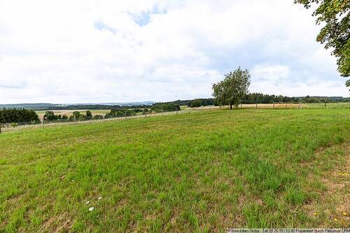 große Wiese mit Aussicht - 