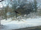 Bild 7 - 